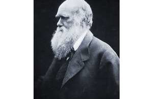 Charles Darwin Kimdir?
